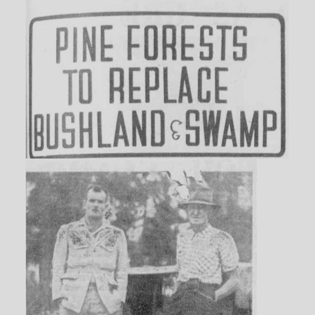 History – River Pine Products